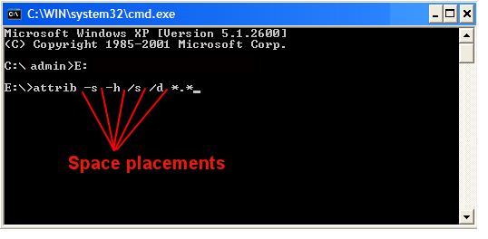 View Virus Infected USB Flash Drive data through CMD Command