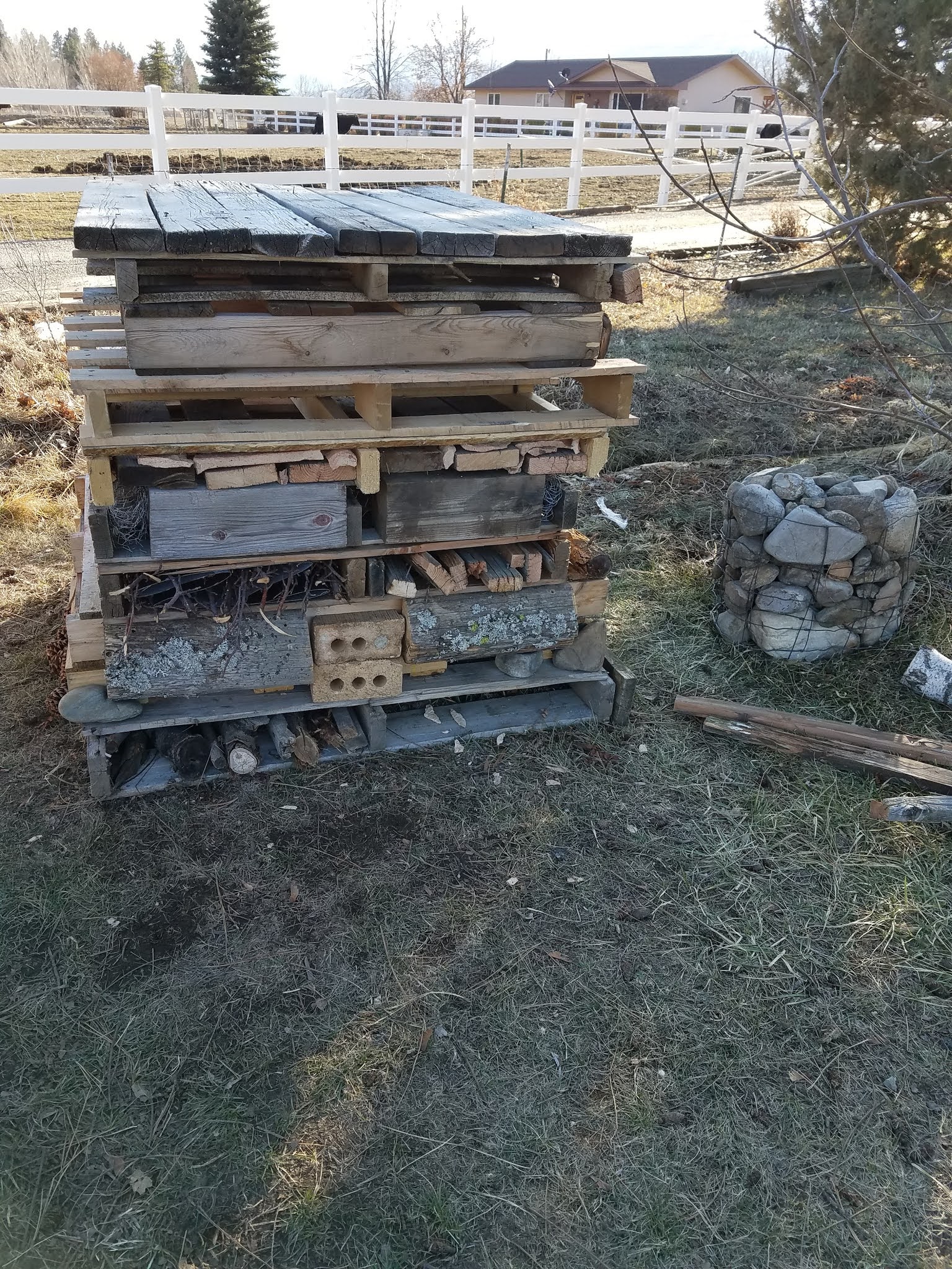 How to make A Bird Habitat from recycled/repurposed items. Scratch