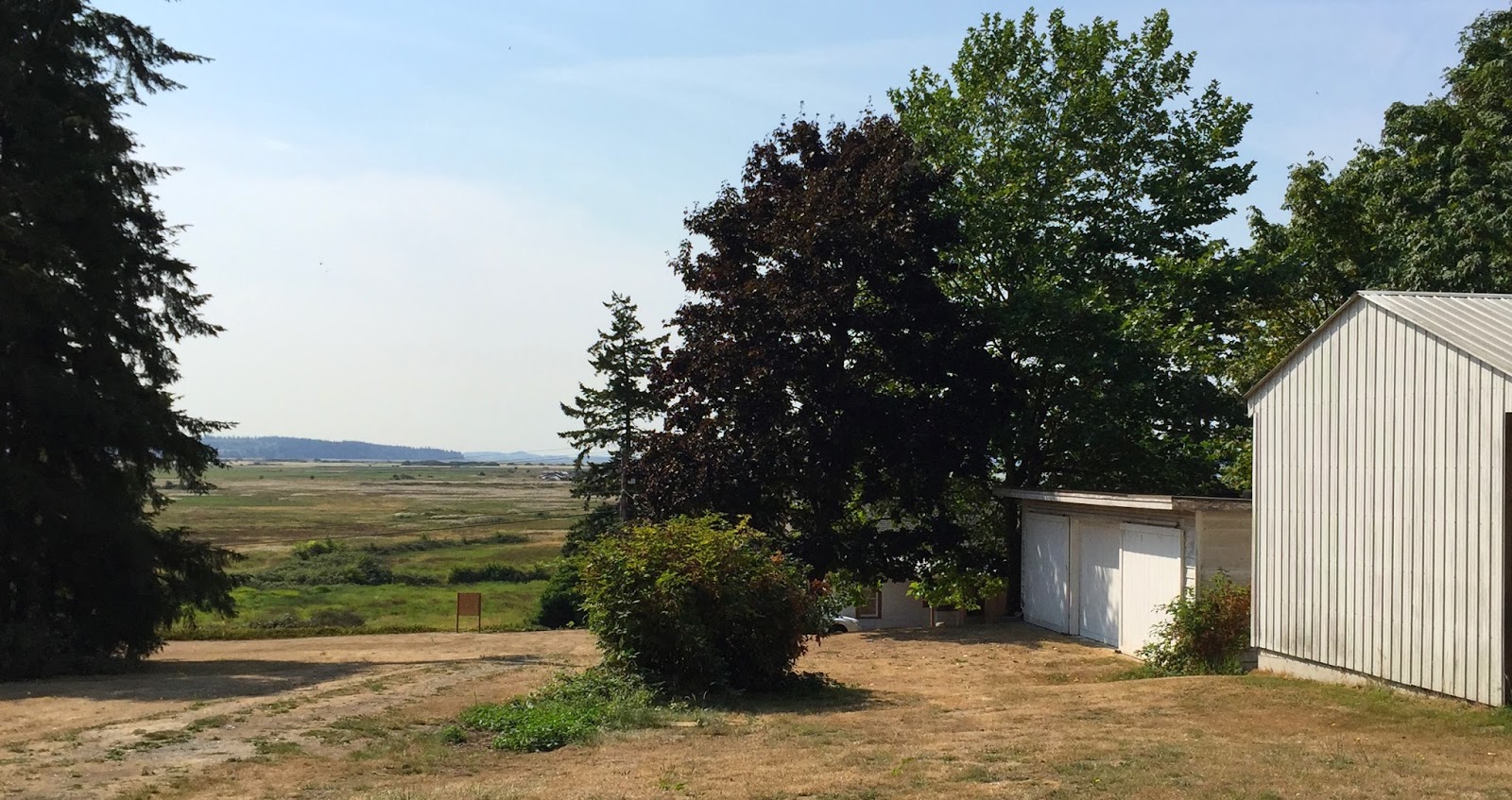 New studio on Samish Island!