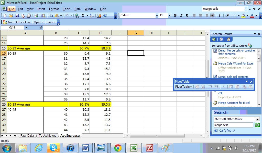 Erica s ISM3004 Blog Excel Project erica-s-ism3004-blog-excel-project