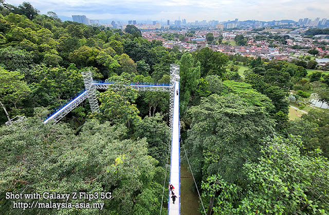 Forest Canopy Walk at Kepong FRIM