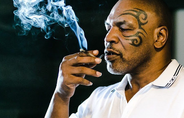 Malawi government appoints Mike Tyson Cannabis Ambassador