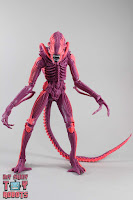 NECA Xenomorph Warrior Arcade Appearance 03