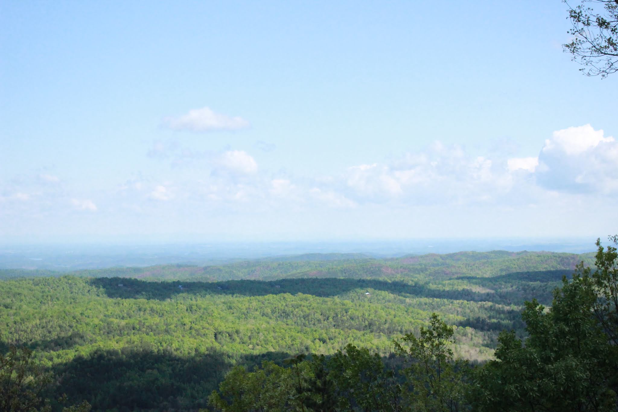 Cumberland Gal Cherohala Skyway Hiking Wildflowers & Falls Branch Falls