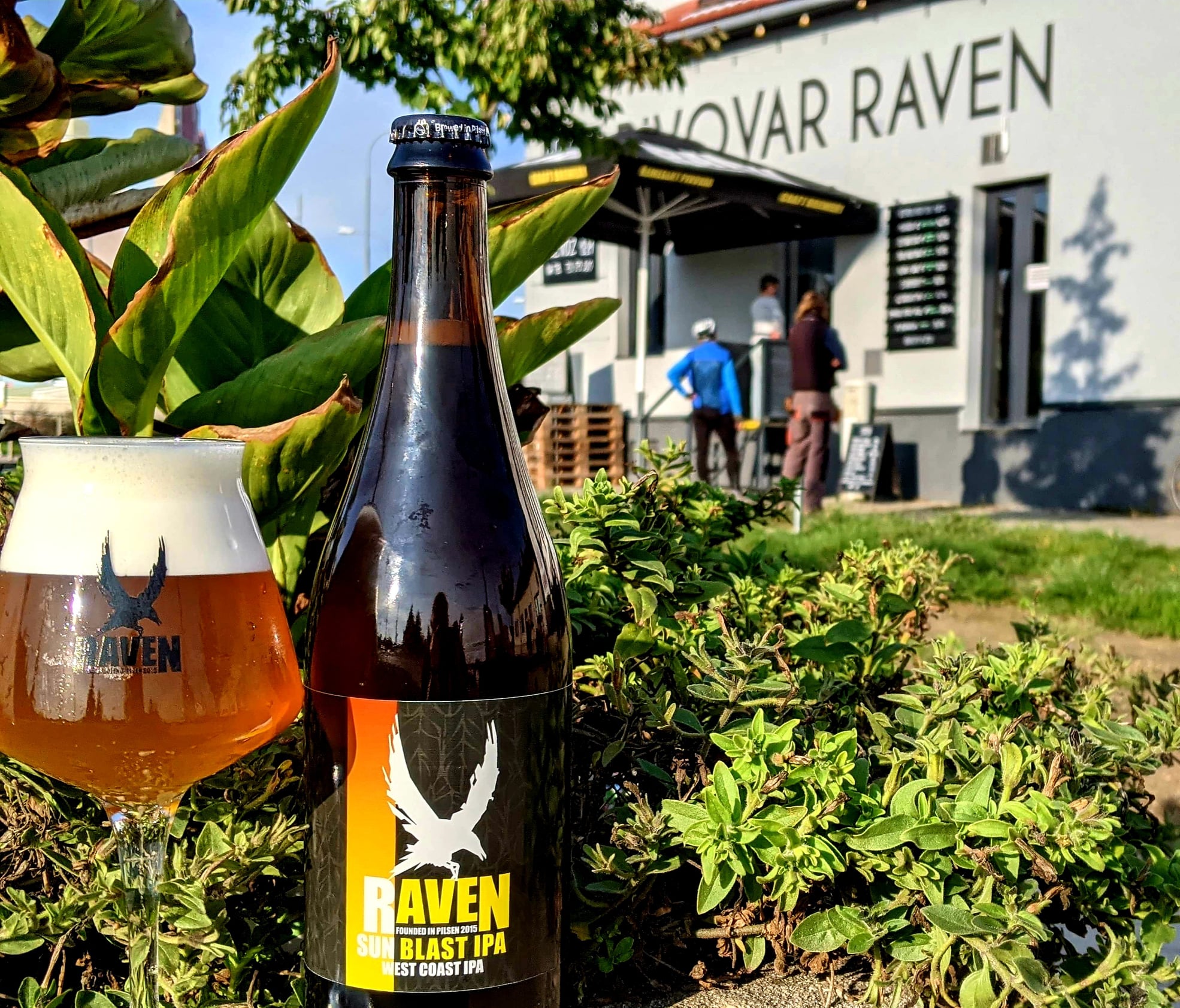 Raven Fest 2021