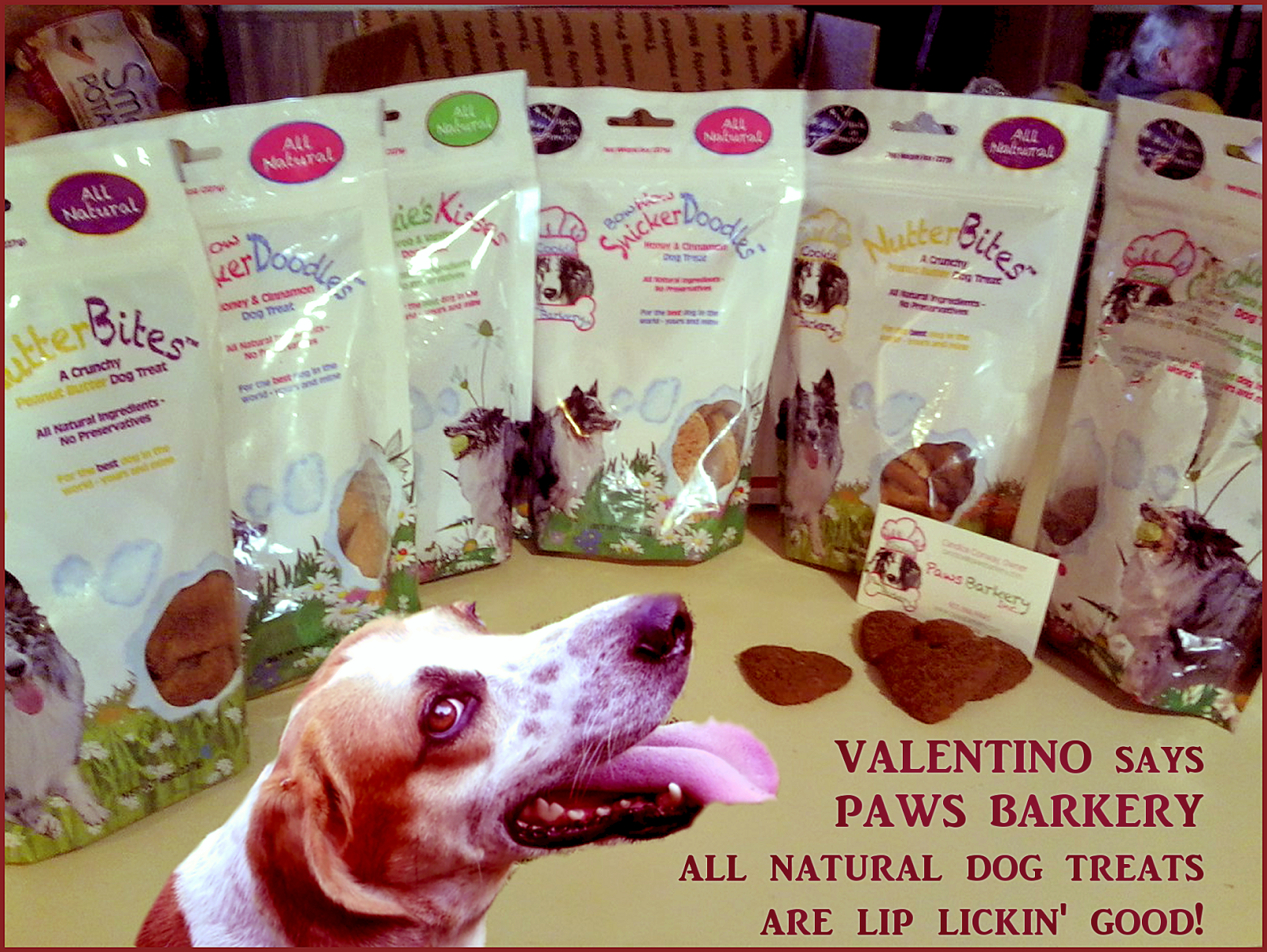 Dog Pawsitive Tidbits Paws Barkery Dog Treats Delivery