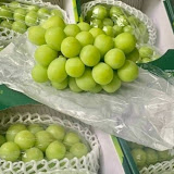 Nho Mẫu Đơn (Nho sữa)