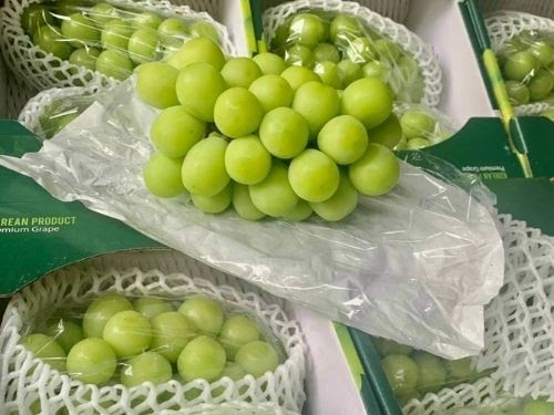 Nho Mẫu Đơn (Nho sữa)