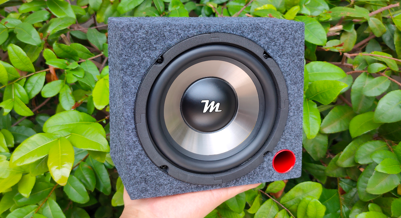 DIY Mini Subwoofer Mini Subwoofer Niggaz On Bananna Peels (3135 Hz)