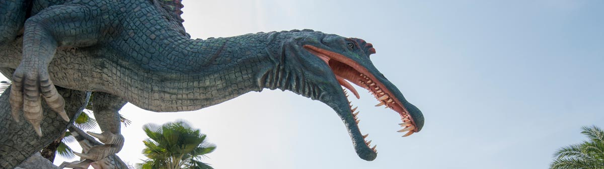 Wenn Dinos Marathon Laufen 20 Erstaunliche Laufrekorde