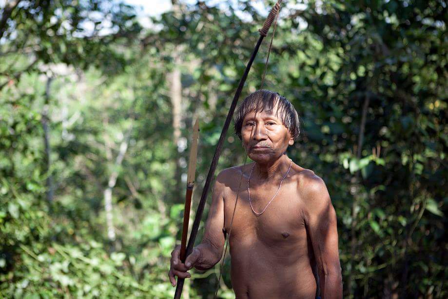 Amazon Explorer Expeditions and Survival in the Amazon Rainforest