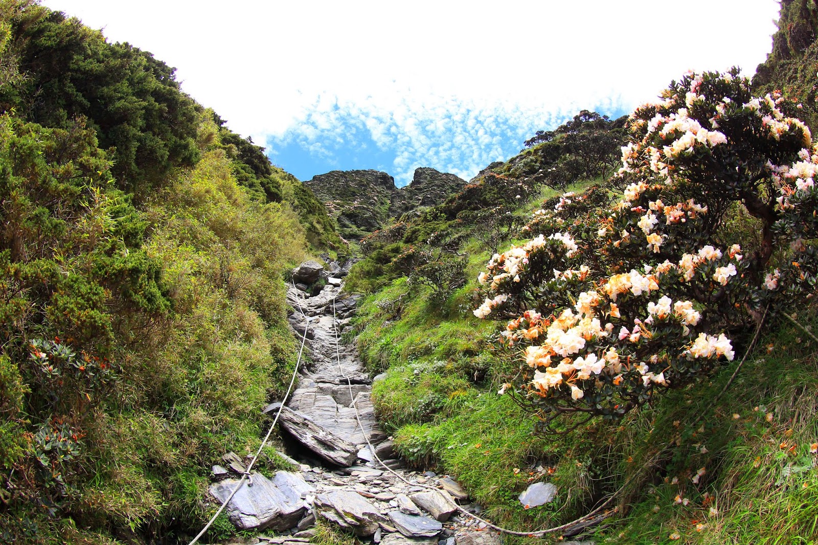 奇萊主北登山行程