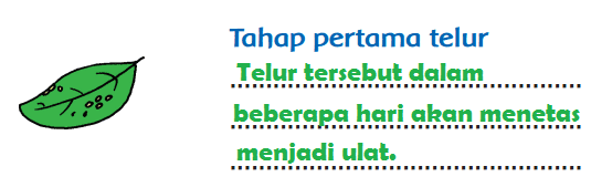 LENGKAP Kunci Jawaban Kelas 3 Tema 1 Subtema 3 