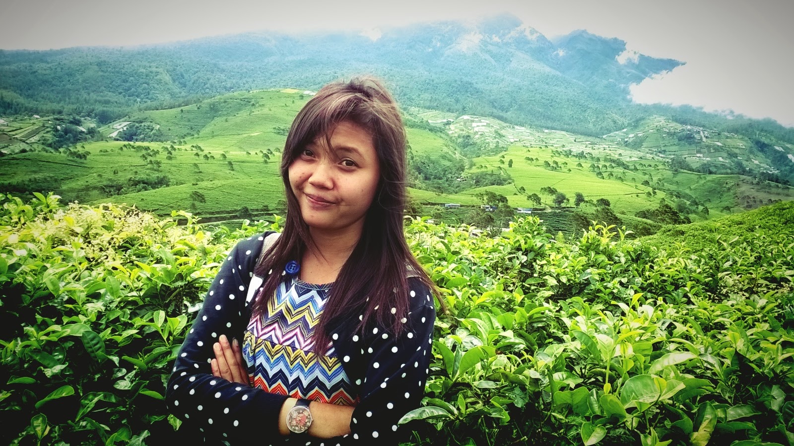 hewan-peliharaan2016: foto di kebun Images