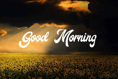 Good Morning HD Images, Pictures, Photos, Pics, Gif, Wallpapers For WhatsApp Status Free Download