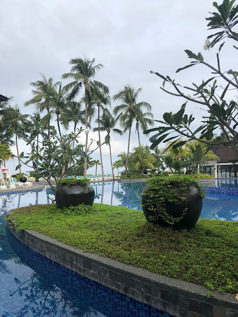 Как крымчане филиппинились: Боракай и Себу -Белый песок на Белом пляже, гигантские ракушки и китовые акулы