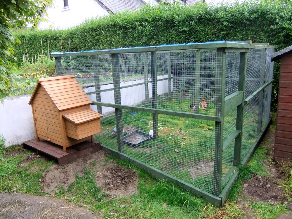 How to build simple and effective chicken coop | Greenhealthyfarm 