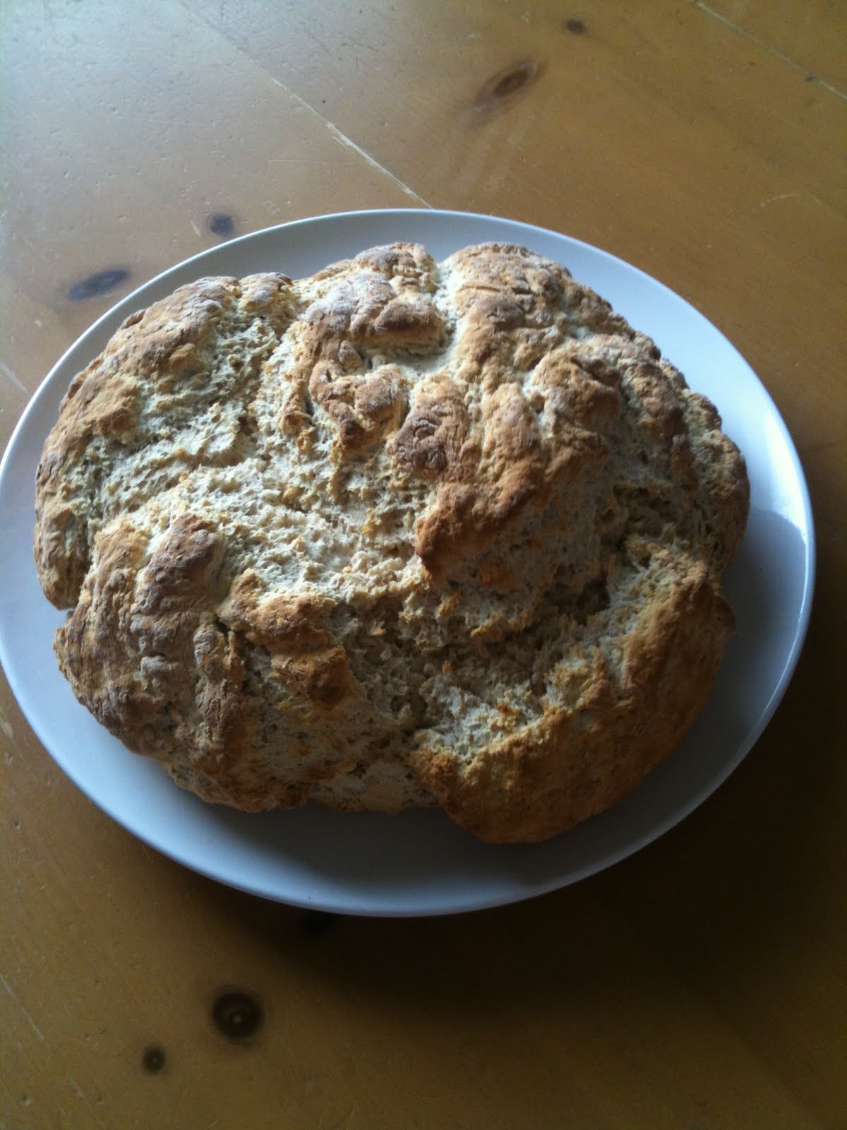 Lecker Lecker Oatmeal Whole Wheat Quick Bread