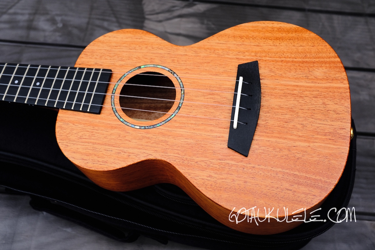 Enya EUCMS Concert Ukulele REVIEW
