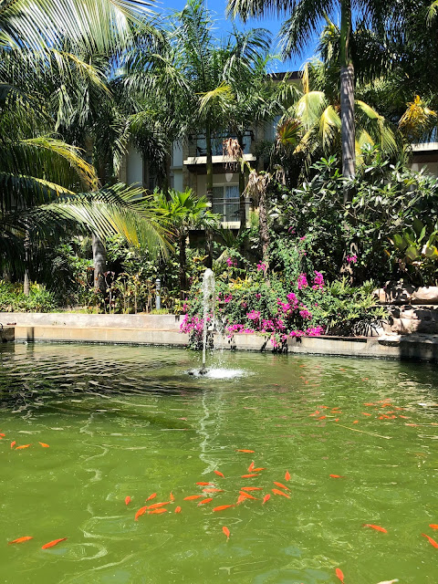 Как крымчане филиппинились: Боракай и Себу -Белый песок на Белом пляже, гигантские ракушки и китовые акулы