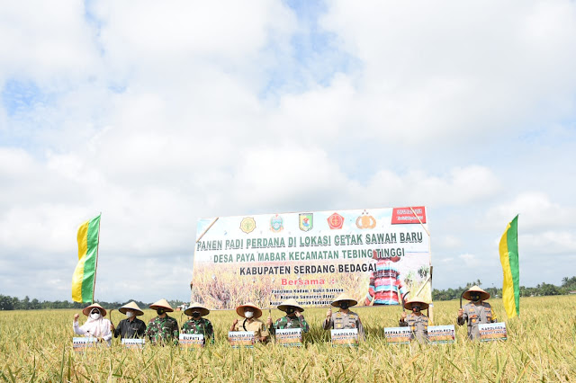 Pemkab Sergai Terus Melaksanakan Program Cetak Sawah Pemkab Sergai Terus Melaksanakan Program Cetak Sawah