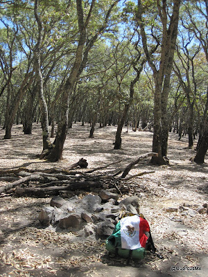 Puerto para acampar en la Sierra de San Juan Cosalá