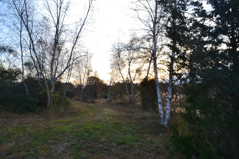 Dublin Hikes America Pawcatuck River Wildlife Management Area (Stanton