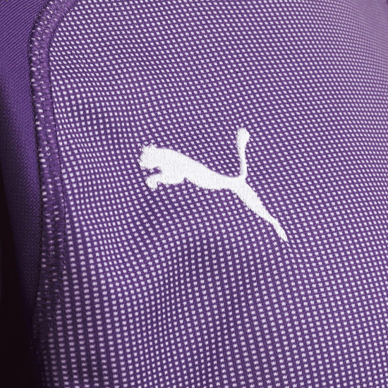 arsenal goalkeeper kit purple