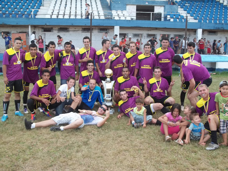 Campeonato Citadino de Futebol de Campo 2011