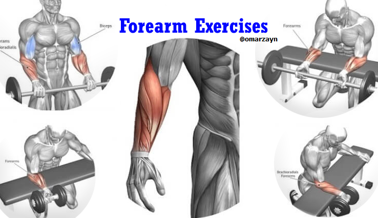 Forearm Workouts | 6 Best Exercises for Mass | By Omar Zayn Blog - OMAR