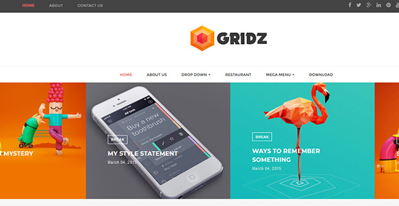 Gridz Gridz
