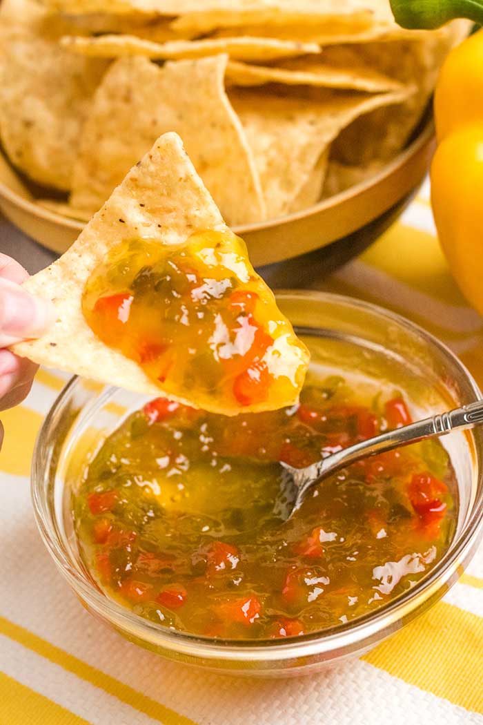 Sweet Pepper Jelly Canning Recipe Homesteading in Ohio