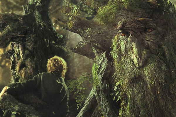Linh hồn của cây cối và nguồn năng lượng ma thuật vô tận từ rừng xanh