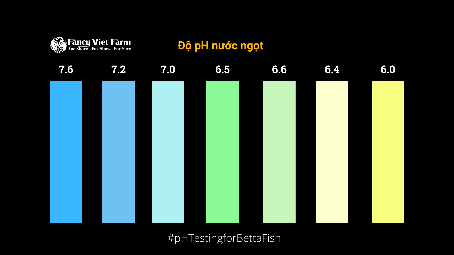 Betta 101 Cá Betta và Độ pH Fancy Viet Farm