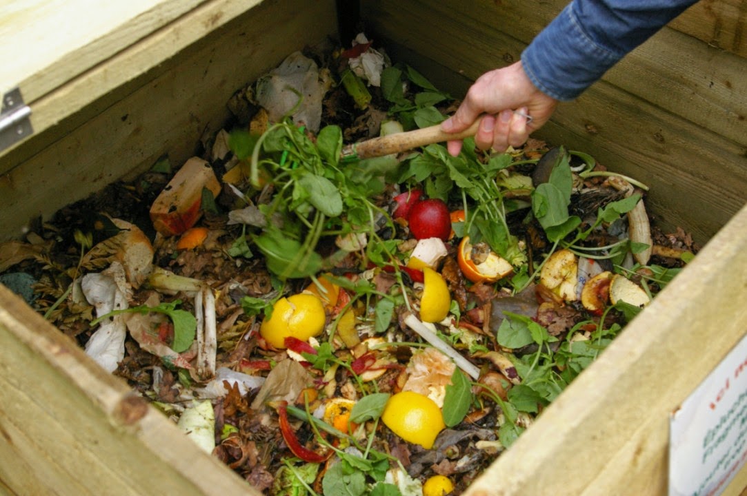 Les Gens de Cottin Création d'un