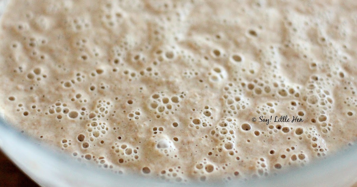 How Your Sourdough Starter Actually Works / Say Little Hen