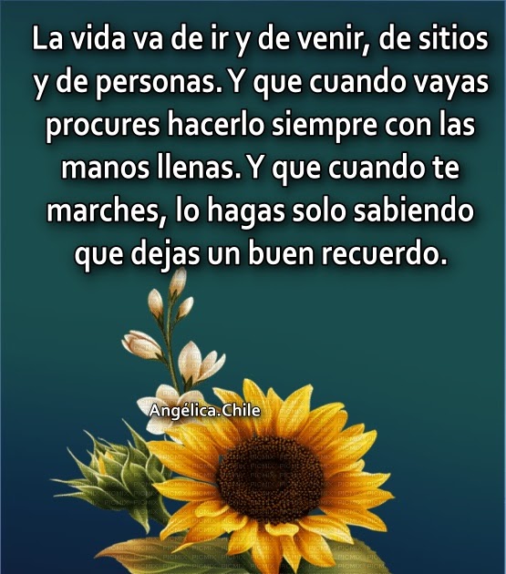 La vida va y viene - Sueños de Amor Y Magia