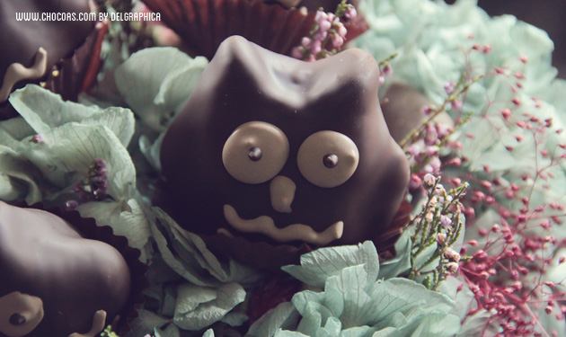 cakepops sin lactosa y sin gluten