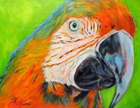 "Hey, May Called" , Macaw in oils