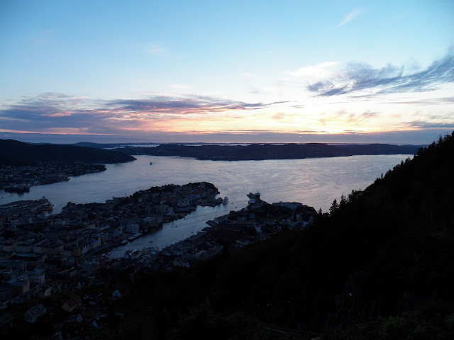 Fiordos Noruegos - Oslo (14 días por nuestra cuenta) Agosto 2013 - Blogs de Noruega - Día 4 (Eidfjord - Bergen) (13)