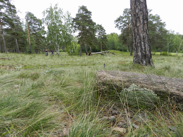 Камень на спуске с Монахов