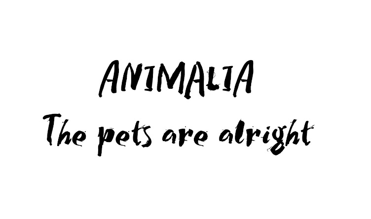 Animalia: The pets are alright