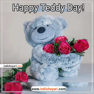 Happy Teddy Day whishes greetings sms quotes images for whatsapp Facebook Instagram status