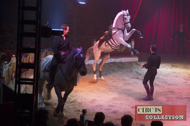 chevaux dans éle manège du cirque de Geneve