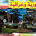 أهم 3 تطبيقات ستحملها على هاتفك وتشكرني لأجلها تطبيقات تستحق التحميل بدون تردد أهم 3 تطبيقات ستحملها على هاتفك وتشكرني لأجلها تطبيقات تستحق التحميل بدون تردد