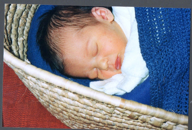 baby asleep in a Moses basket