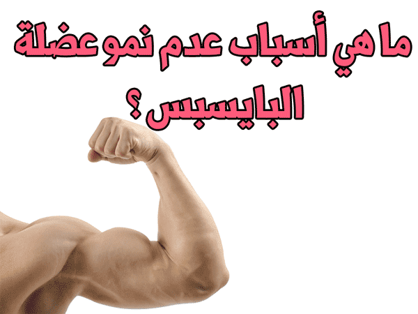 اقوى تمارين عضلة البايسبس بهذه تمارين ارائعة مهوس عضلات كمال الاجسام Maniac Muscle
