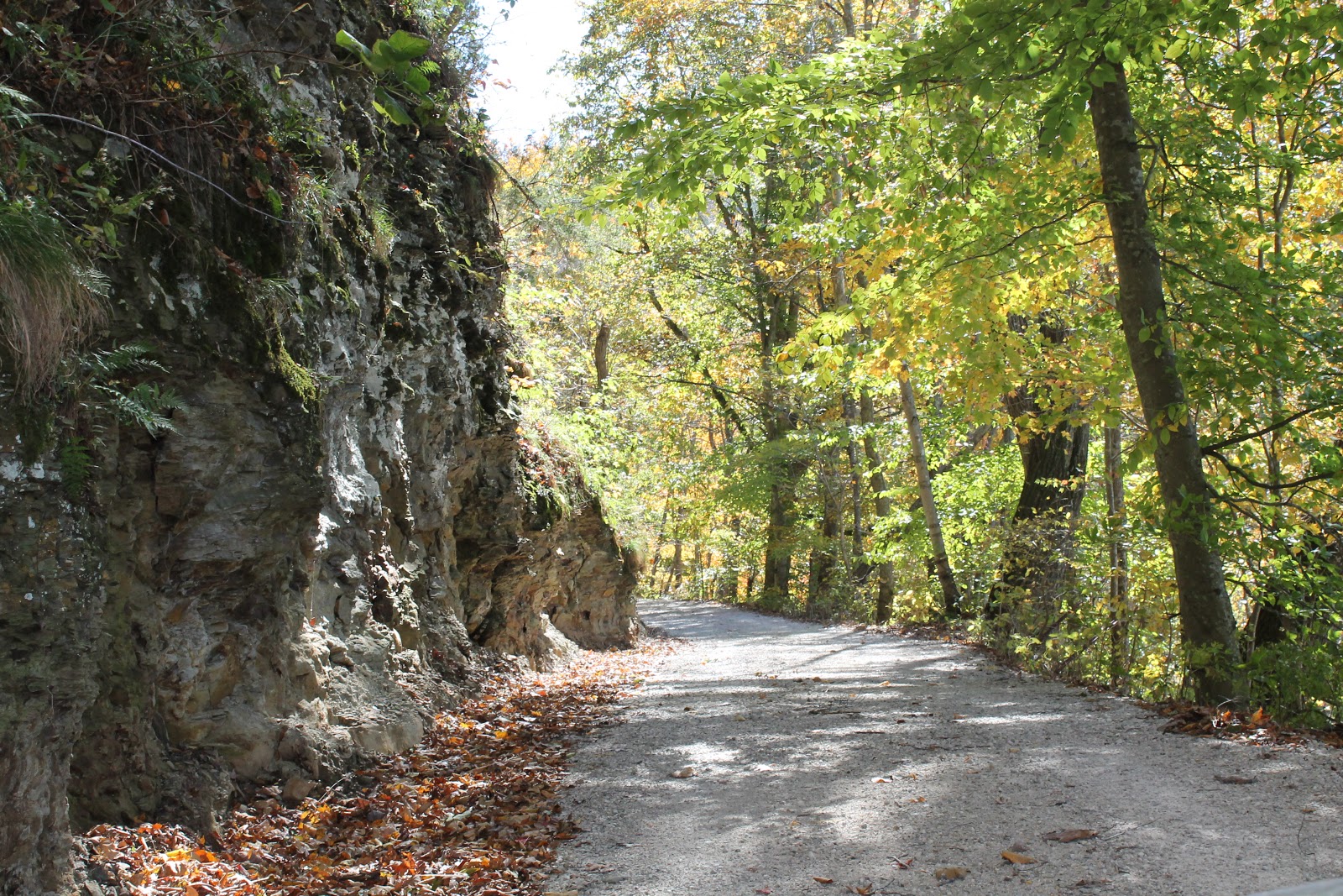 FOLKWAYS NOTEBOOK RIDING A ONE LANE ROAD IN KENTUCKY