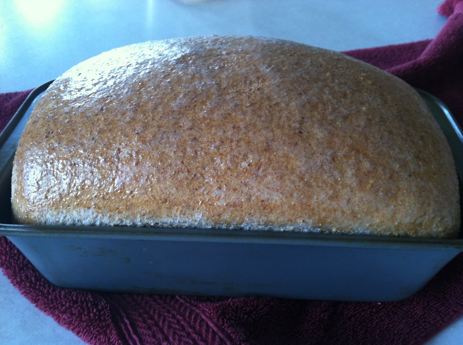 menu managed 9 Grain Whole Wheat Bread {with Natural Yeast}