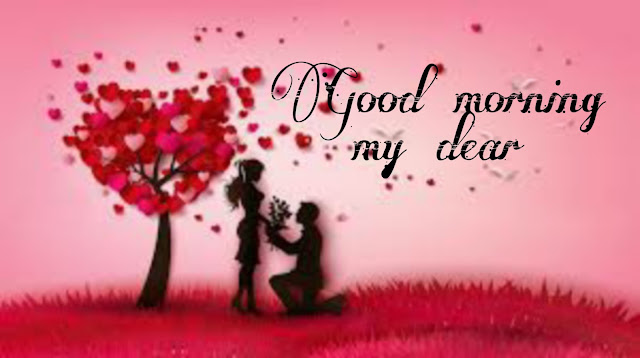 Latest Romantic Good Morning Images HD Collection Latest Romantic Good Morning Images HD Collection